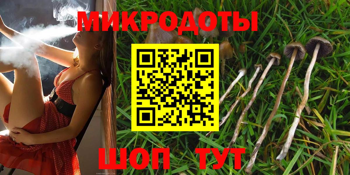 Псилоцибиновые грибы MAGIC MUSHROOMS Чита